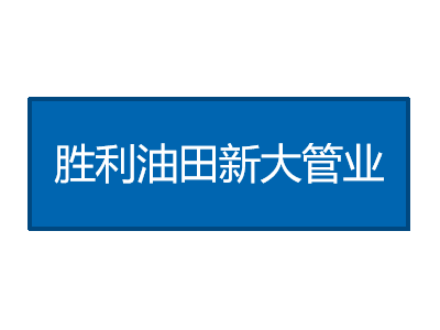 勝利油田新大管業(yè)